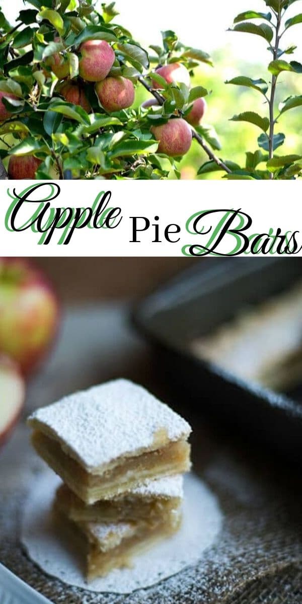 apple pie bars fall baking recipe from Life Sew Savory