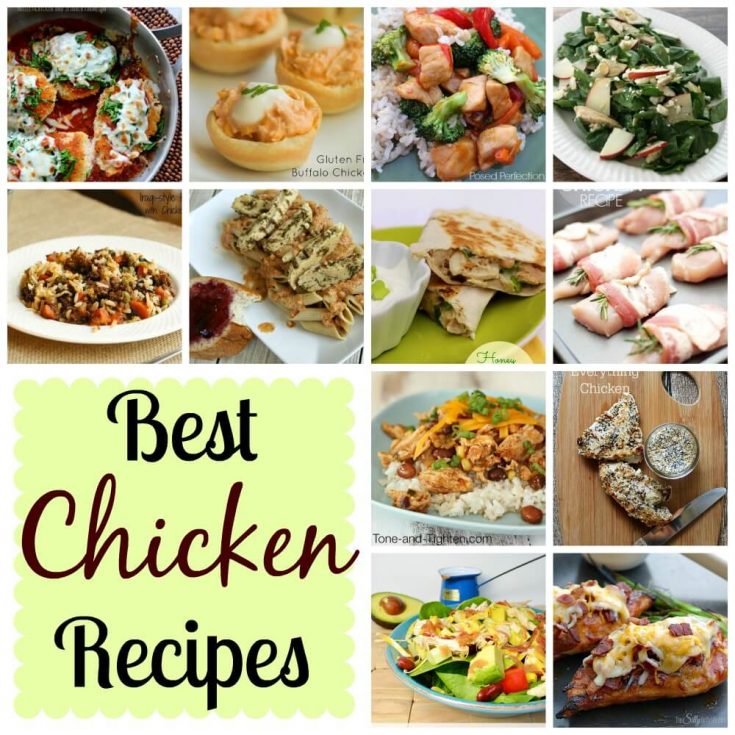 12 Best Chicken Recipes - Life Sew Savory