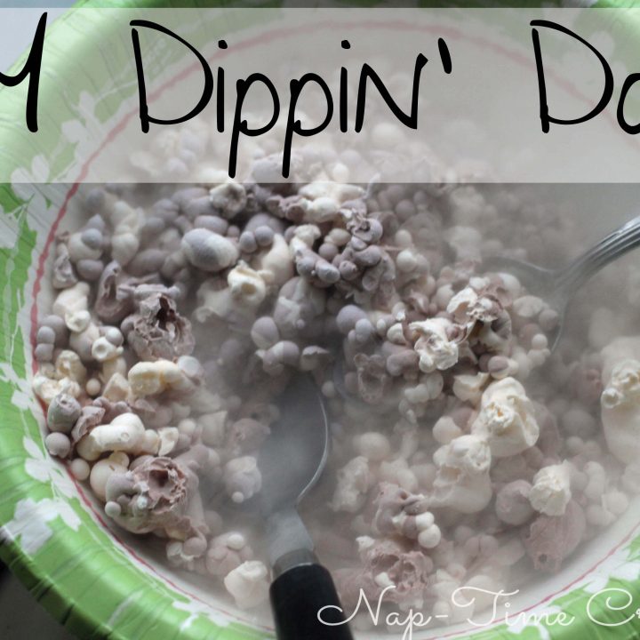 DIY Dippin Dots - Life Sew Savory