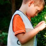 Pinterest Hidden Image