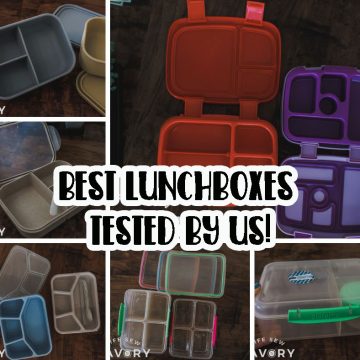 best lunch boxes review
