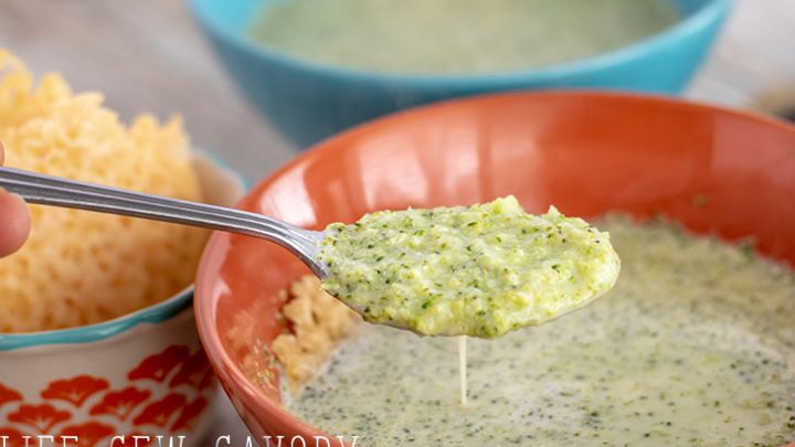 broccoli and leek low carb soup