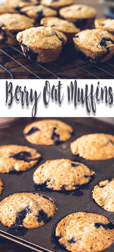 healthy blueberry oatmeal muffin recipe for healthy breakfast recipe from Life Sew Savory