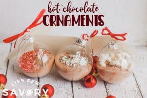 hot-choclate-ornaments-tutorial