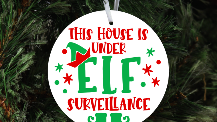 House Under Elf Surveillance