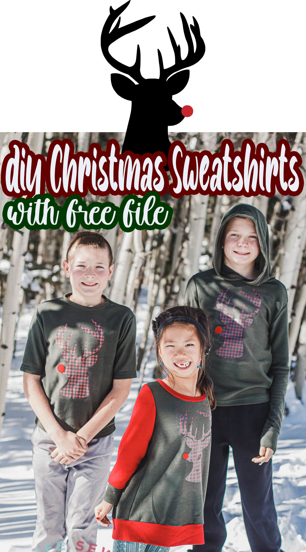 Pinterest Hidden Image