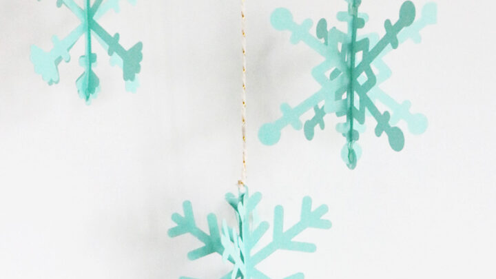3D Snowflake