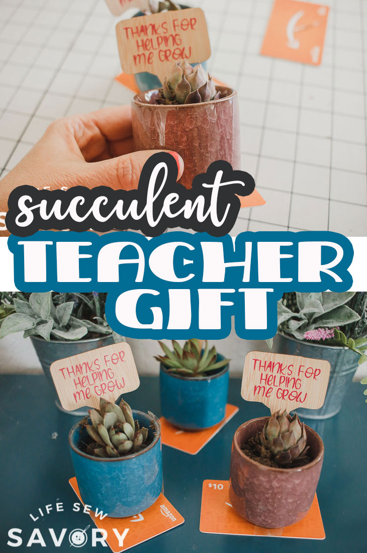 Download Plant Teacher Gift With Free Svg File Life Sew Savory