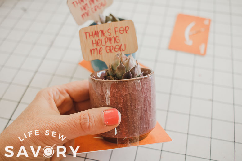 cute plant gift for teachers