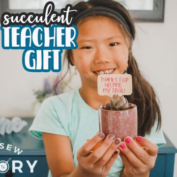 succulent teacher gift idea
