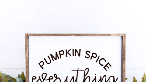 pumpkin spice everything