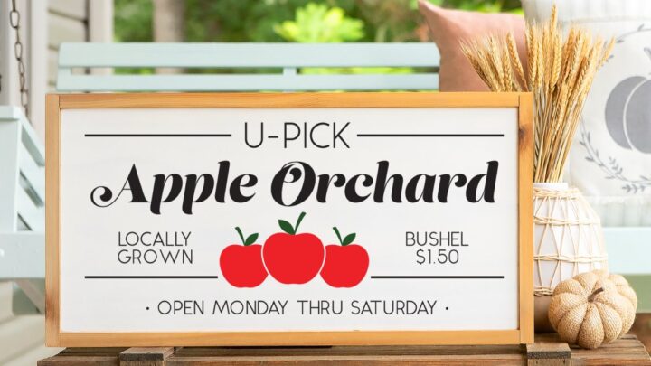 apple picking