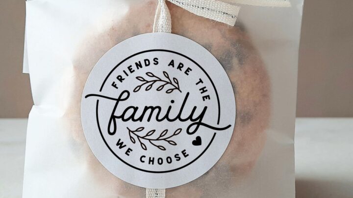 friends are the family we choose