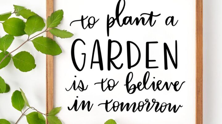 Image for To plant a garden is to believe in tomorrow