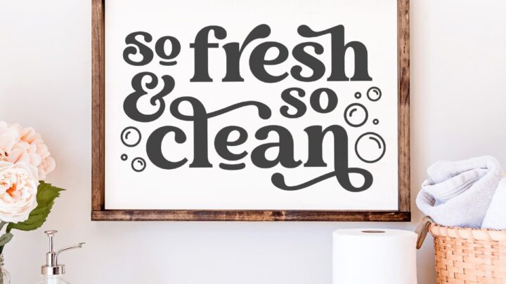 Image for So fresh & so clean