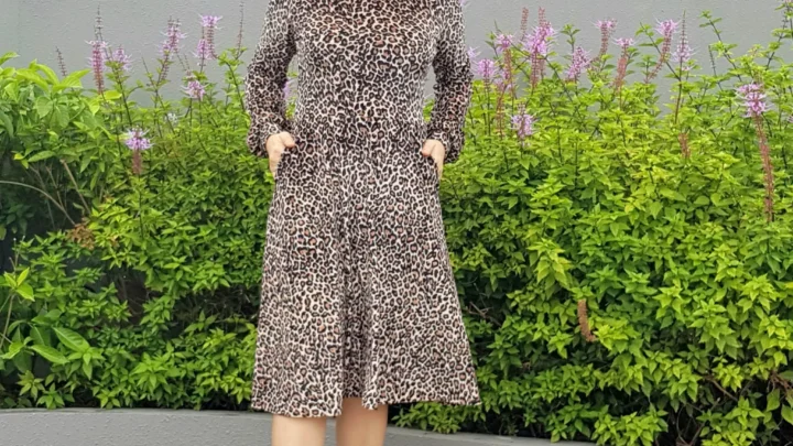 Image for Asta Jersey Dress sewing pattern