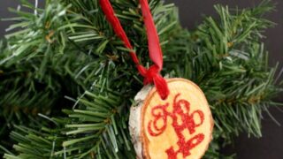 Image for Wood Glitter Ornaments Tutorial with Michaels Recollections Glitter