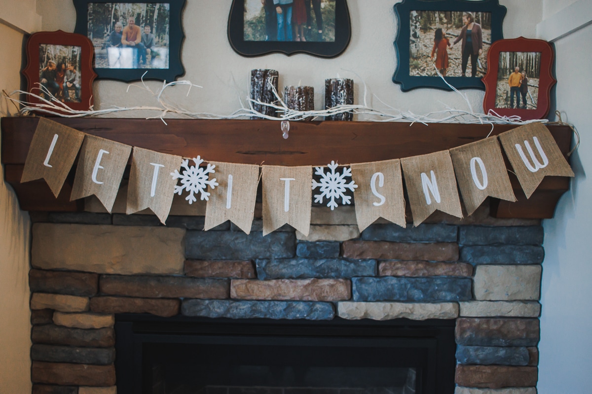 winter embroidered bunting
